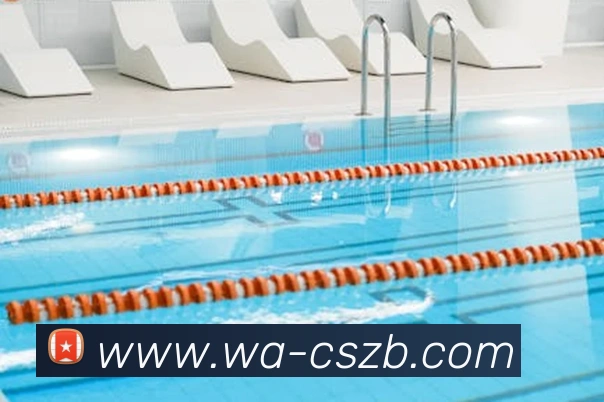 彩神争霸平台生态图