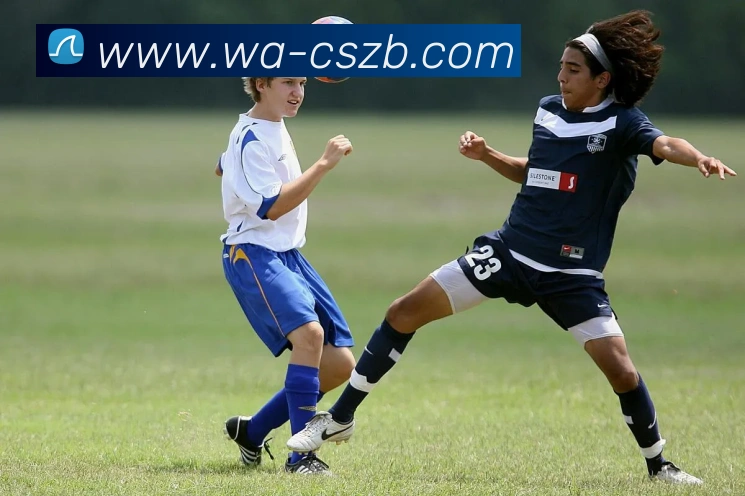 数据防护可视化